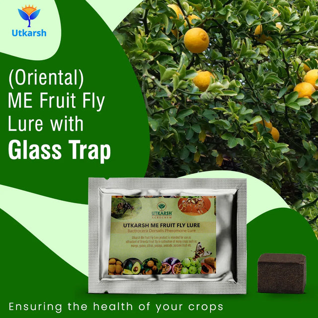 ME Fruit Fly (Oriental) Lure with Eco or Glass Trap - Utkarsh Agrochem Pvt ltd. 