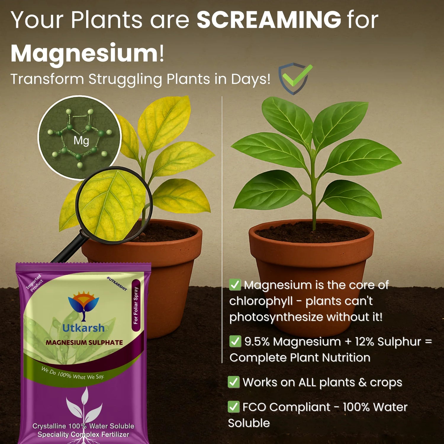 magnesium plant fertilizer Best Grade Magnesium Sulphate Fertilizer