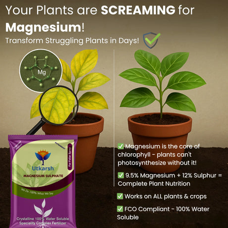 Epsom Salt - Magnesium Sulphate for Plants Growth and Home Garden | 100% Water Soluble Fertilizer | Enhances Photosynthesis & Nutrient Uptake - 25 Kg Bag - Utkarsh Agrochem Pvt ltd. 