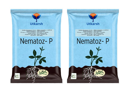 Verticillium Chlamydosporium | Pochonia Chlamydosporia 1.0% W.P 2 x 10^6 CFU/gm min. Bio Nematicides for Plants, Crops and Home Gardening - Nematoz-P - Utkarsh Agrochem Pvt ltd. 