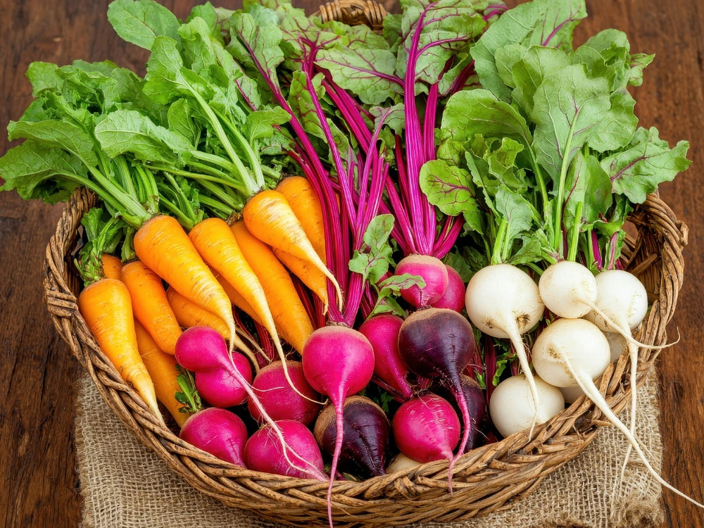 Utkarsh Radish, Carrot, Beetroot Farming Schedule