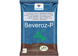Beauveria Bassiana 1.15% W.P. 1 x 10^8 CFU/gm min. Bio Insecticides for Plants, Crops and Home Gardening - Beveroz-P - Utkarsh Agrochem Pvt ltd. 