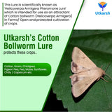 Cotton Bollworm Lure - Utkarsh Agrochem Pvt ltd. 