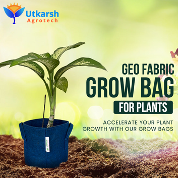 Utkarsh 400 GSM Eco Friendly Breathable Geo Textile Fabric Plant Grow Bag For Vegetables, Flowers & Herbs / Indoor & Outdoor Gardening (Blue)(Pack of 3)