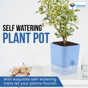 Utkarsh Super High-Quality|UV Treated|Durable Virgin Plastic Transparent-Color Self-Watering Square Flower|Plant Pots for Home Planters, Terrace, Garden, Balcony, Office, Restaurants|Multicolor|Home Indoor & Outdoor Garden Plants|4