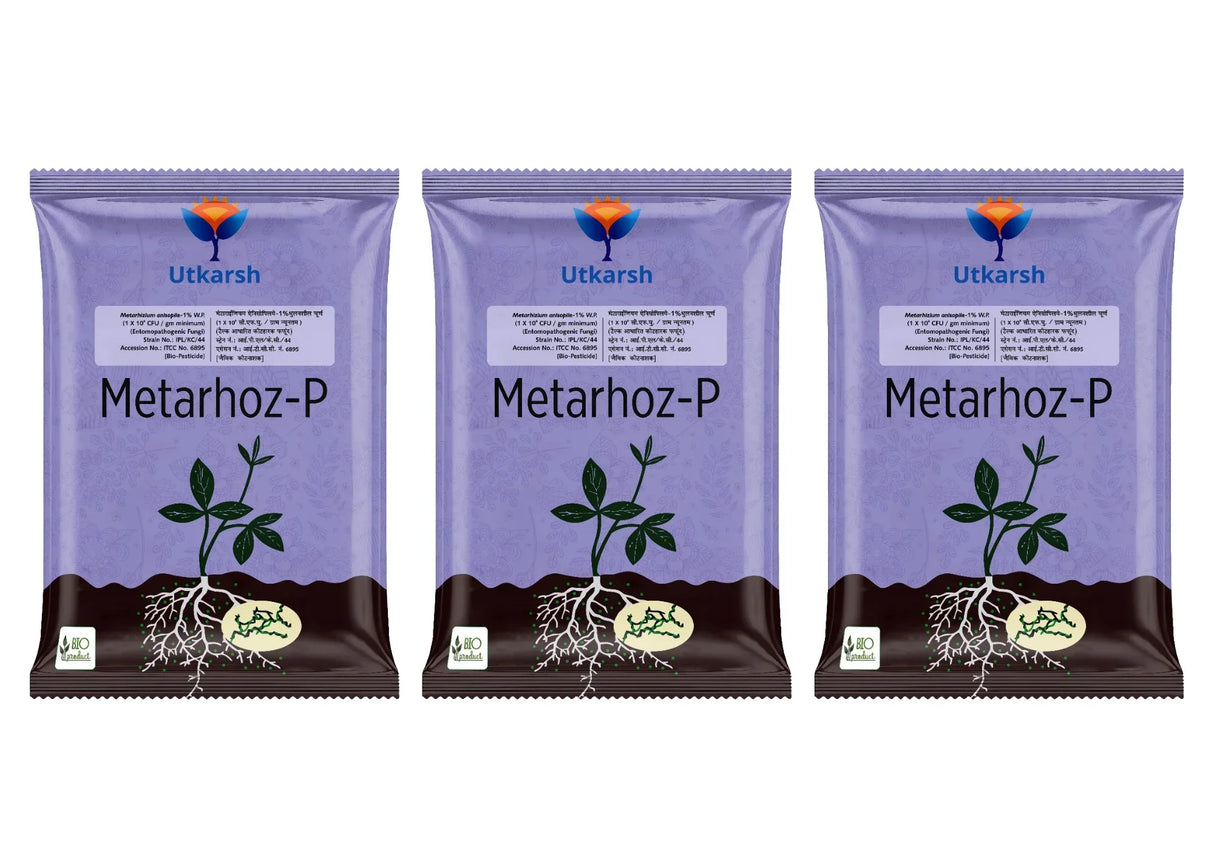Metarhizium Anisopliae 1% W.P. 1 x 10^8 CFU/gm min. Bio Insecticides for Plants, Crops and Home Gardening - Metarhoz-P - Utkarsh Agrochem Pvt ltd. 