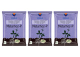 Metarhizium Anisopliae 1% W.P. 1 x 10^8 CFU/gm min. Bio Insecticides for Plants, Crops and Home Gardening - Metarhoz-P - Utkarsh Agrochem Pvt ltd. 