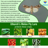 farm crop health improvement tips infographic for better yield
