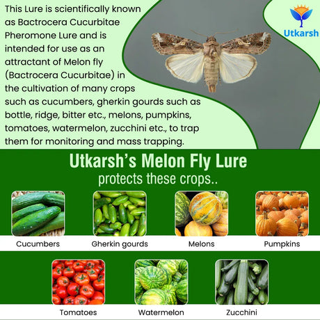 farm crop health improvement tips infographic for better yield
