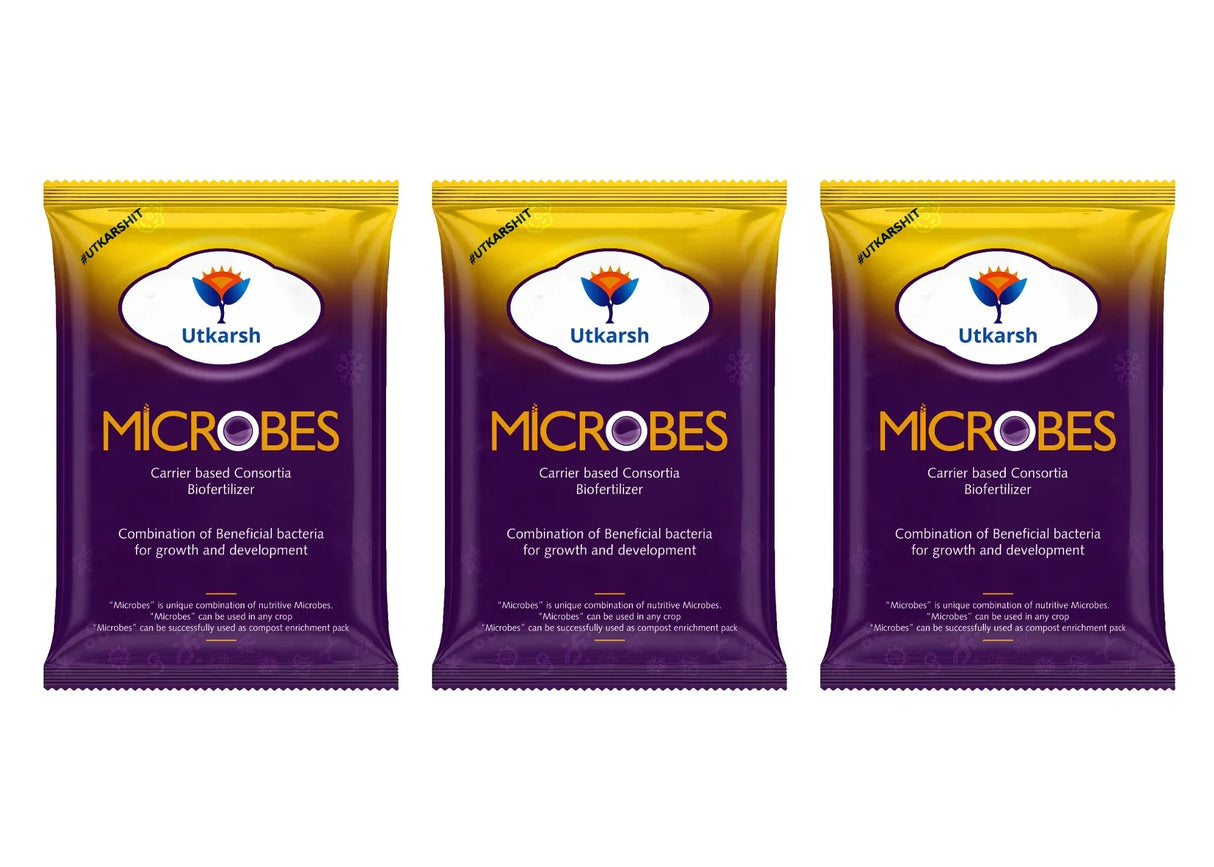 Microbes (Consortia - Azotobacter, Acetobacter, Rhizobium, Phosphorus Solubilizing Bacteria PSB, Potassium Mobilizing Bacteria KMB) - Utkarsh Agrochem Pvt ltd. 