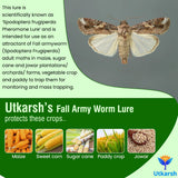 Fall Army Worm FAW Lure - Utkarsh Agrochem Pvt ltd. 