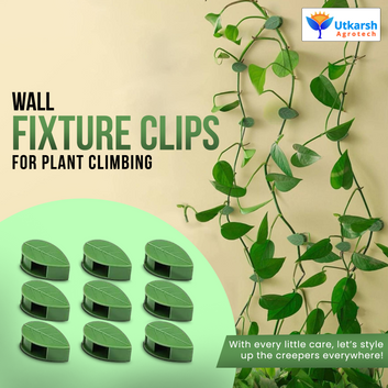 Utkarsh Plant Support Clips|Wall Fixture Clips for Plant Climbing|Vines Climbing Wall Fixer Self-Adhesive Hook|Invisible Fixing Holder, Plant Vine Traction for Indoor Outdoor Decoration Fixation|Leaf Plant Organizer Clips- Set of 10 PCS