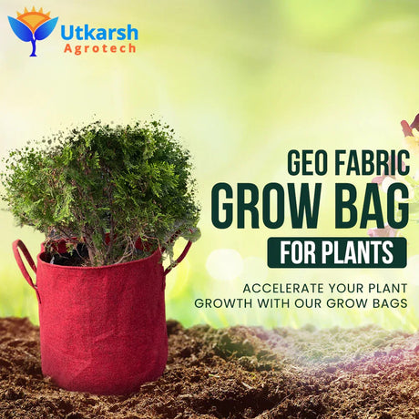 400 GSM Geo Textile Fabric Growbags- Maroon, Pack of 10 - Utkarsh Agrochem Pvt ltd. 