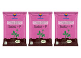 Pseudomonas Fluorescens 1.0% W.P. CFU Count: 1 x 10^8 / gm. min. Bio Fungicides for Plants, Crops and Home Gardening - Sudoz-P - Utkarsh Agrochem Pvt ltd. 