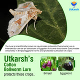 Egg Plant Borer Lure - Utkarsh Agrochem Pvt ltd. 