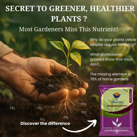 Epsom Salt - Magnesium Sulphate for Plants Growth and Home Garden | 100% Water Soluble Fertilizer | Enhances Photosynthesis & Nutrient Uptake - 25 Kg Bag - Utkarsh Agrochem Pvt ltd. 