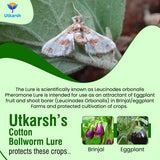 Egg Plant Borer Lure with Water Trap - Utkarsh Agrochem Pvt ltd. 