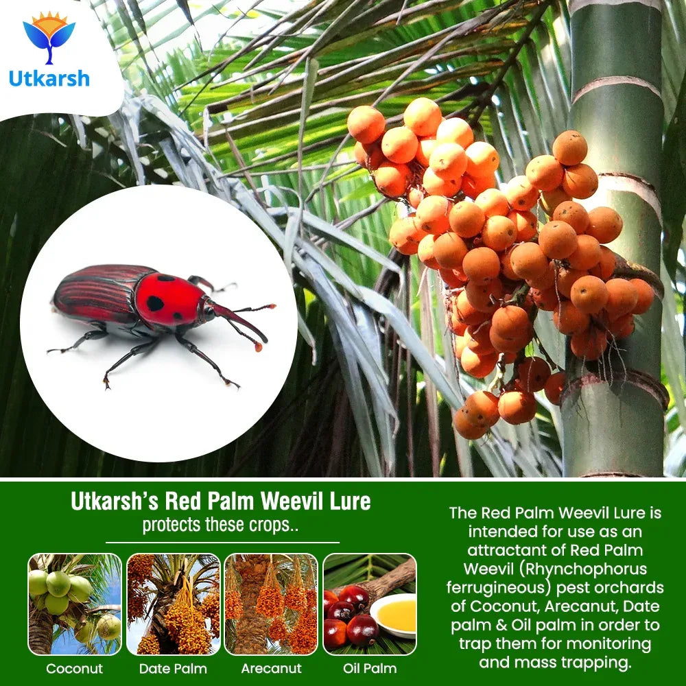 plant disease identification infographic for farmers
