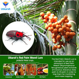 plant disease identification infographic for farmers
