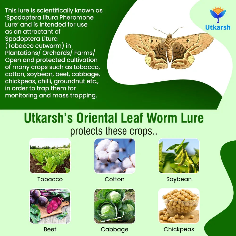 Oriental Leaf Worm Lure - Utkarsh Agrochem Pvt ltd. 