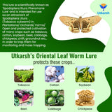 Oriental Leaf Worm Lure - Utkarsh Agrochem Pvt ltd. 