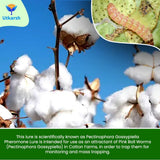 Pink Boll Worm Lure - Utkarsh Agrochem Pvt ltd. 