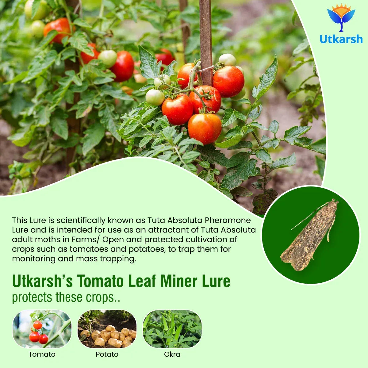 crop protection guide showing pest and disease control methods
