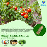 crop protection guide showing pest and disease control methods
