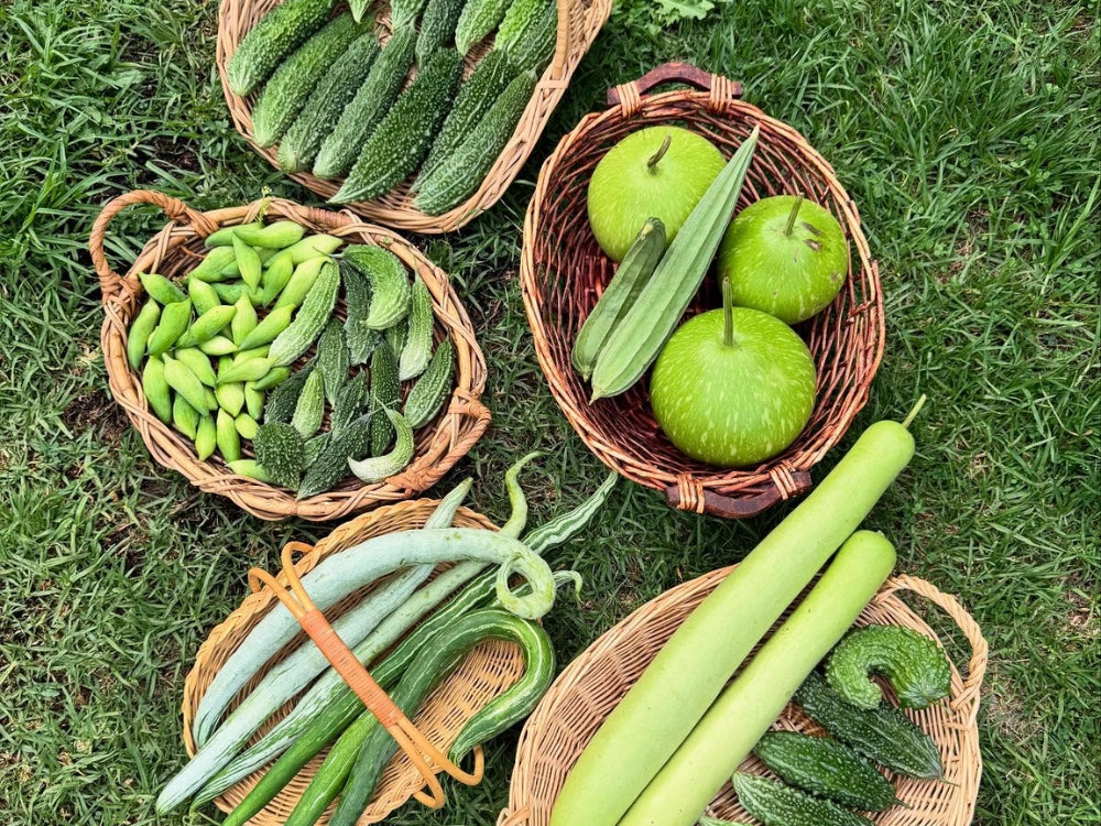 Utkarsh Gourd Family Farming Schedule