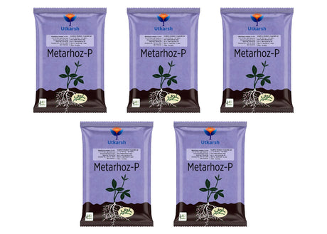 Metarhizium Anisopliae 1% W.P. 1 x 10^8 CFU/gm min. Bio Insecticides for Plants, Crops and Home Gardening - Metarhoz-P - Utkarsh Agrochem Pvt ltd. 