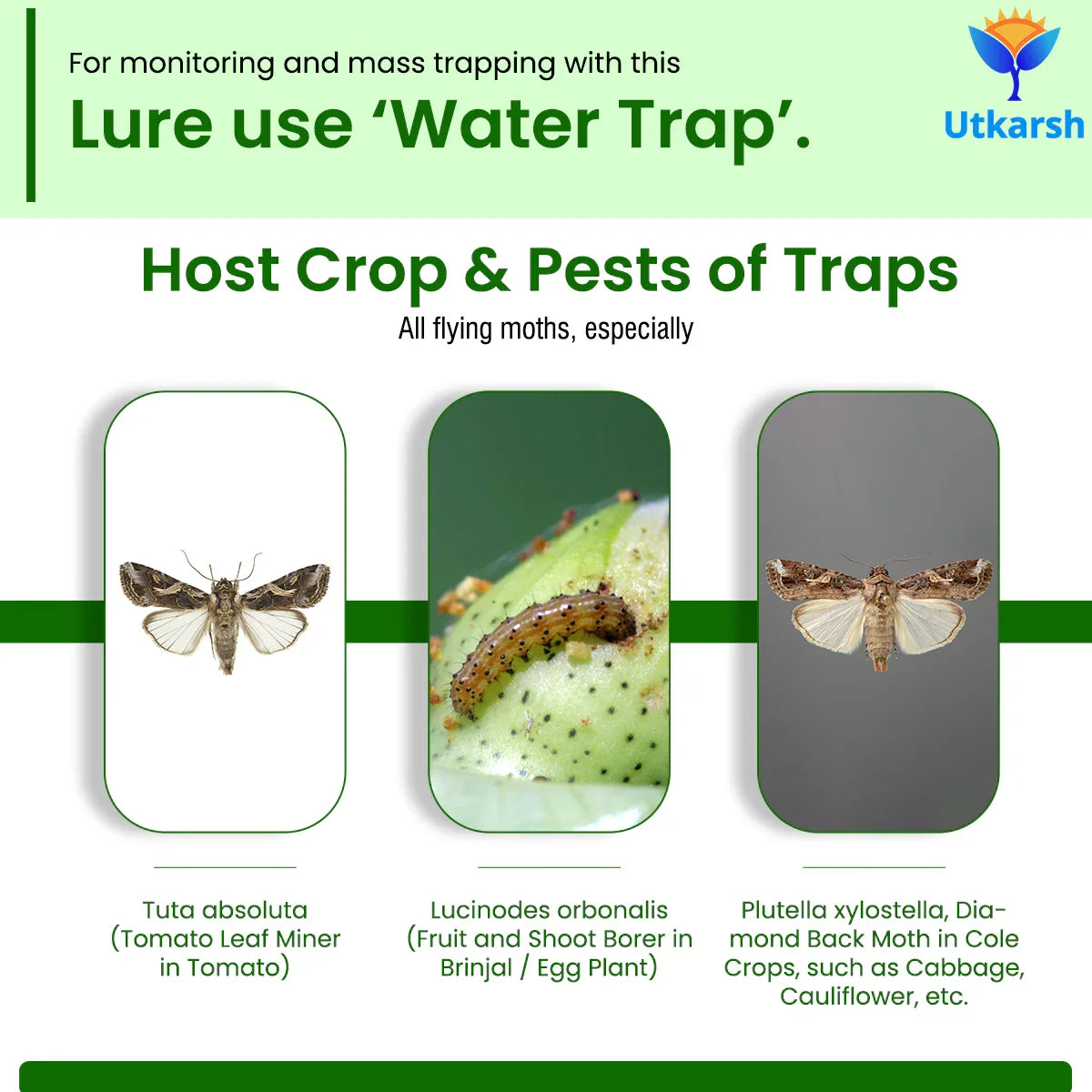 Egg Plant Borer Lure with Water Trap - Utkarsh Agrochem Pvt ltd. 