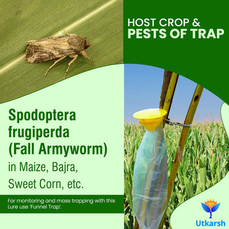 Fall Army Worm FAW Lure with Funnel Trap - Utkarsh Agrochem Pvt ltd. 