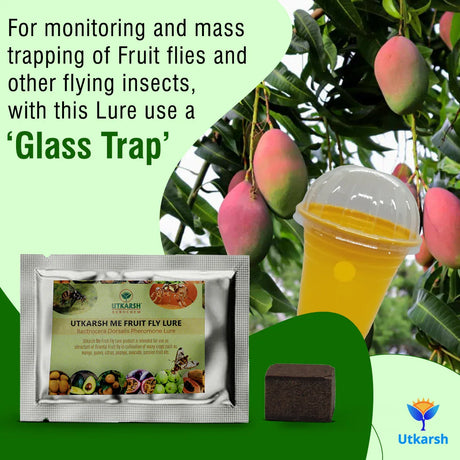 ME Fruit Fly (Oriental) Lure with Eco or Glass Trap - Utkarsh Agrochem Pvt ltd. 