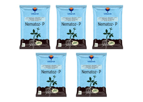 Verticillium Chlamydosporium | Pochonia Chlamydosporia 1.0% W.P 2 x 10^6 CFU/gm min. Bio Nematicides for Plants, Crops and Home Gardening - Nematoz-P - Utkarsh Agrochem Pvt ltd. 