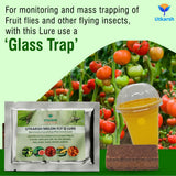 Melon Fly Lure with Eco or Glass Trap - Utkarsh Agrochem Pvt ltd. 
