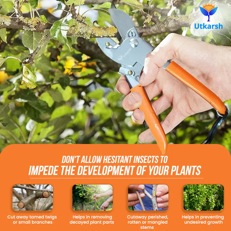Premium Roll Cut Secateurs- 1 Pc - Utkarsh Agrochem Pvt ltd. 