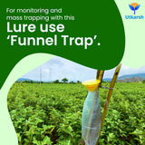 Egg Plant Borer Lure with Funnel Trap - Utkarsh Agrochem Pvt ltd. 