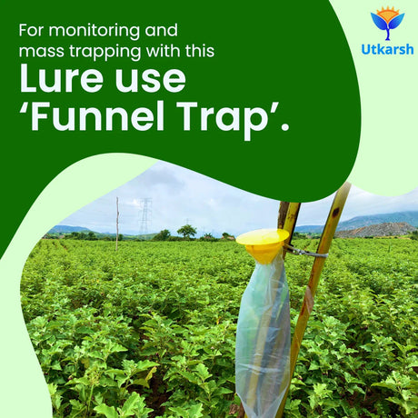 Egg Plant Borer Lure with Funnel Trap - Utkarsh Agrochem Pvt ltd. 
