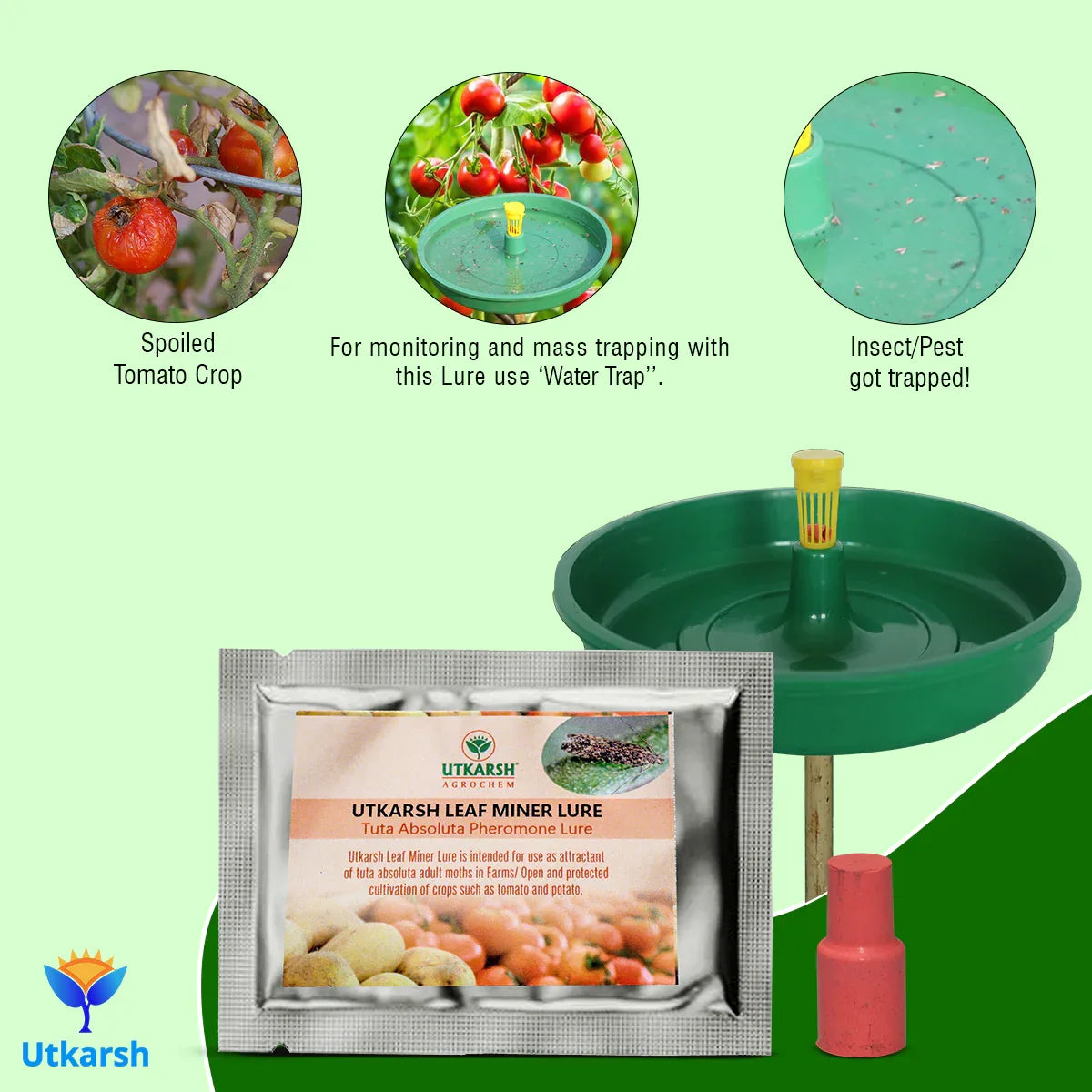 Tomato Leaf Miner Lure with Water Trap - Utkarsh Agrochem Pvt ltd. 