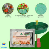 Tomato Leaf Miner Lure with Water Trap - Utkarsh Agrochem Pvt ltd. 