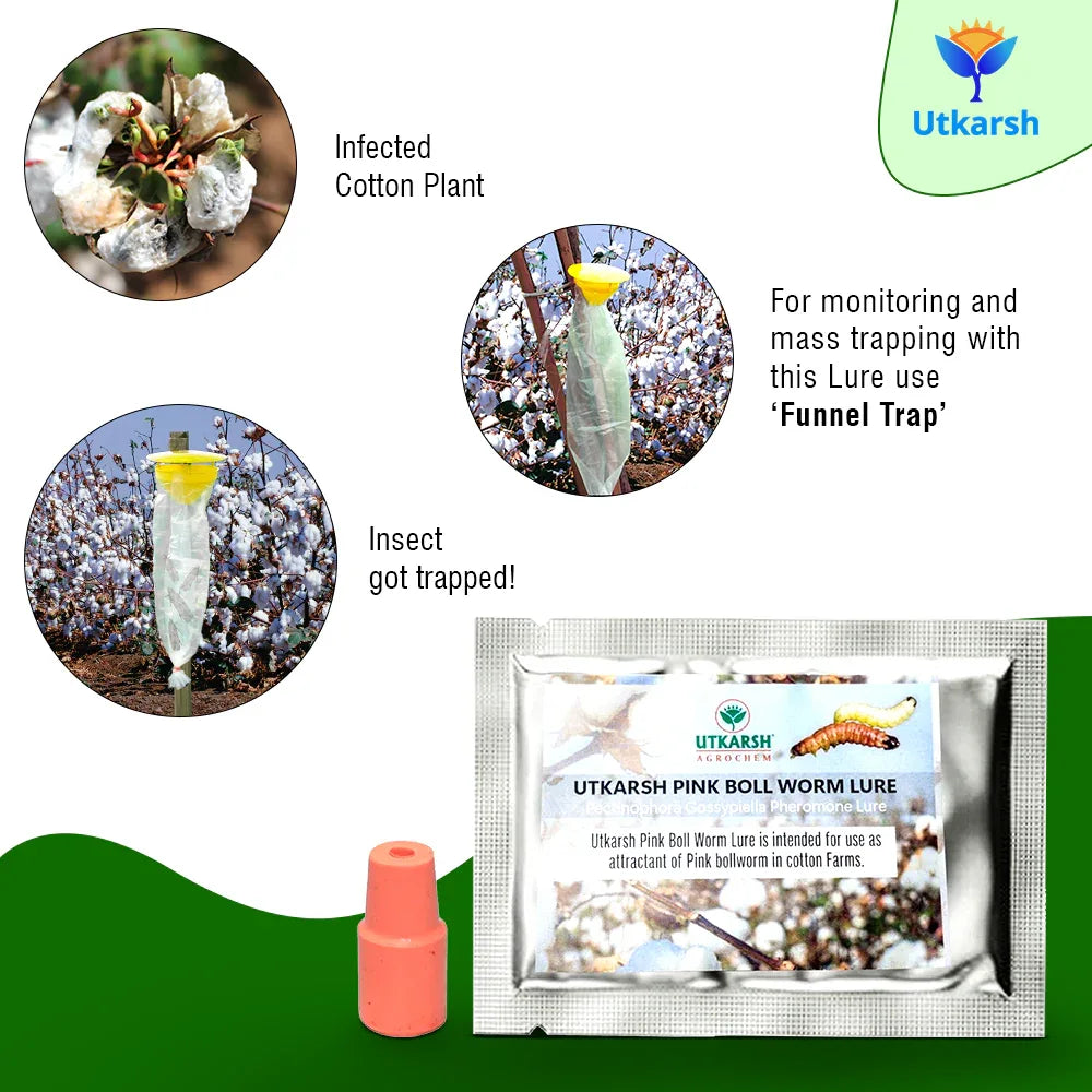 Pink Boll Worm Lure with Funnel Trap - Utkarsh Agrochem Pvt ltd. 