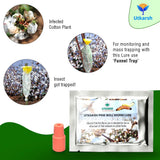 Pink Boll Worm Lure with Funnel Trap - Utkarsh Agrochem Pvt ltd. 