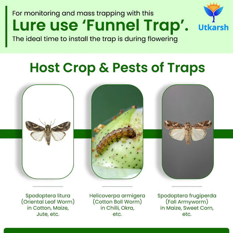 Cotton Bollworm Lure with Funnel Trap - Utkarsh Agrochem Pvt ltd. 