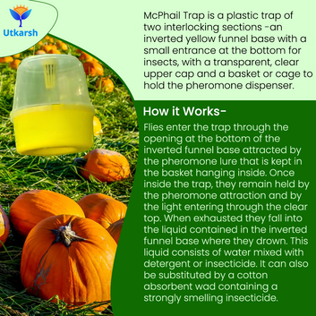 McPhail Trap (Fruit Flies & Other Flying Insects)