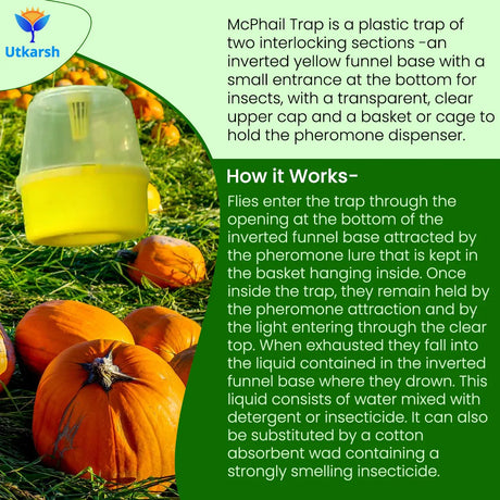 McPhail Trap (Fruit Flies & Other Flying Insects) - Utkarsh Agrochem Pvt ltd. 