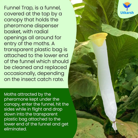 Oriental Leaf Worm Lure with Funnel Trap - Utkarsh Agrochem Pvt ltd. 