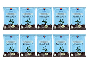 Verticillium Chlamydosporium | Pochonia Chlamydosporia 1.0% W.P 2 x 10^6 CFU/gm min. Bio Nematicides for Plants, Crops and Home Gardening - Nematoz-P - Utkarsh Agrochem Pvt ltd. 