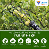 Small Fruit Picker Basket- 1 Pc - Utkarsh Agrochem Pvt ltd. 