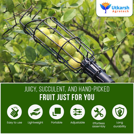 Small Fruit Picker Basket- 1 Pc - Utkarsh Agrochem Pvt ltd. 