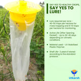 Cotton Bollworm Lure with Funnel Trap - Utkarsh Agrochem Pvt ltd. 